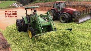 Corn Chopping Packing Silage [upl. by Gnal]