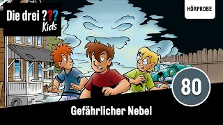 Die drei  Kids  Folge 80 Gefährlicher Nebel  Hörspiel [upl. by Zinah]