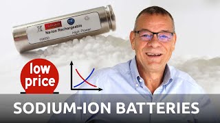 Prof Stefano Passerini  Low Costs will drive SodiumIon Batteries  Battery Podcast [upl. by Ahsinar]