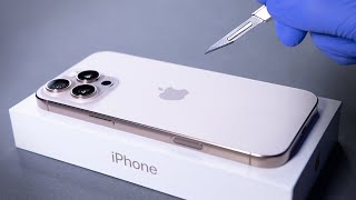 iPhone 16 Pro Max Unboxing and Camera Test  ASMR [upl. by Nnyliram226]