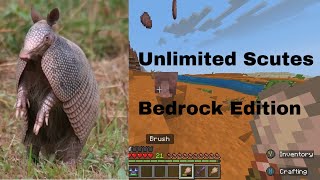 Minecraft Armadilllo How to get Scutes and Use Brush [upl. by Wellesley]