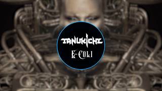 EColi amp Tanukichi  Balkancore [upl. by Essilrahc]