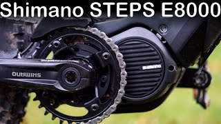 Shimano Steps E8000 2019  eBike motor test [upl. by Aiouqahs]