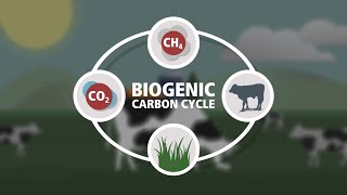 Biogenic Carbon Cycle [upl. by Harima]