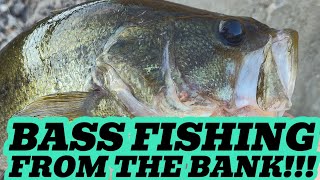 An EASY Summer Technique To Get A BITE From BASS [upl. by Voorhis]