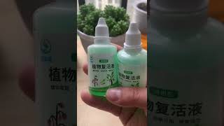 Universal plant and flower rejuvenation liquid [upl. by Maxey135]