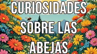 Las curiosidades más impresionantes sobre las ABEJAS 🐝 🤯🤯 [upl. by Floria59]