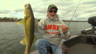 Rapala® Scatter Rap® Minnow [upl. by Oech]