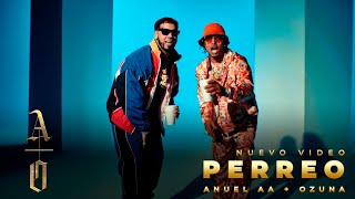 AnuelAA amp Ozuna  PERREO [upl. by Annaiv]