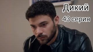 Дикий  Турецкий сериал 43 серия Фрагмент Yabani 43 bölüm [upl. by Gnidleif]