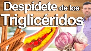 Cómo Bajar Los Triglicéridos De Forma Natural Y Rápido  Cómo Eliminar El Colesterol Naturalmente [upl. by Clair]