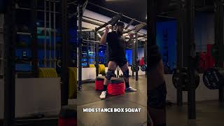 Wide Stance Box Squat [upl. by Nivat]