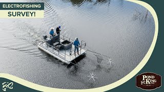 How Electrofishing Works [upl. by Stavro303]