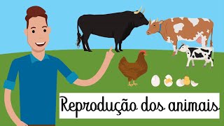 REPRODUÇÃO DOS ANIMAIS [upl. by Lasiaf]