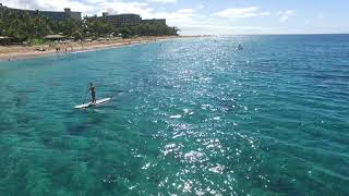 What is the beach like  Honua Kai Resort Maui  Kaanapali North Beach [upl. by Edveh]