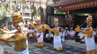 Tari Rejang Dewa  Jeroan Tegal Bindu [upl. by Nnyroc]