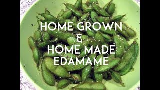 Growing Soybeans for EDAMAME [upl. by Gustaf]