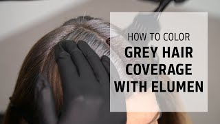 How to Color Cover Grey Hair with Elumen  Lets Play Elumen Series  Goldwell Education Plus [upl. by Melvena]