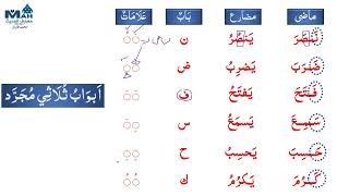 Basic Arabic in English Lecture 38 Trilateral Verbs Classification ثلاثي مجرد [upl. by Asek]