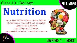 Nutrition  Class 10 Biology  Chapter  1  Concept Explanation  Sri Notes [upl. by Hamish589]