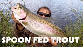 Top 10 Rainbow Trout Fishing Tips Never Forget 1 [upl. by Meibers]