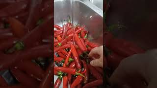 washing red hot chilli asmrsatisfying viralvideo shorts [upl. by Nevs]