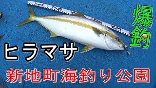 新地町 海釣り公園って？ 調査してきました！ [upl. by Luht611]