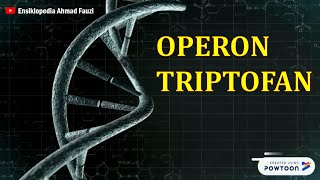 Operon Triptofan Trp Operon pada Bakteri [upl. by Borreri]