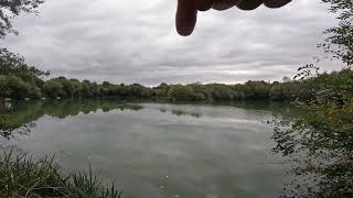 Cat fishing Par fishery Brentwood With Lee Byrne [upl. by Ahtiekal231]