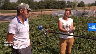 Romanian Minister EU farming subsidies should be tied to working conditions [upl. by Acalia]