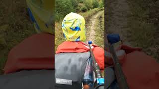 GO WALKING IN THE RAIN Its a free cleaning backpacking outdoors hiking [upl. by Godiva]