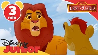 The Lion Guard  The Kupatana Celebration  Disney Junior UK [upl. by Drawde]