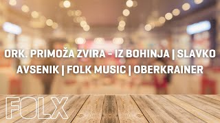 ORK PRIMOŽA ZVIRA  IZ BOHINJA  SLAVKO AVSENIK  FOLK MUSIC  OBERKRAINER [upl. by Renferd]