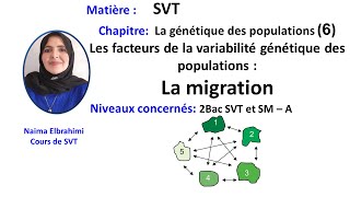 Cours SVT Bac Biof génétique des populations 6 facteurs de variabilité génétique  la migration [upl. by Neils173]