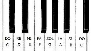 Las notas en el teclado [upl. by Alfreda]