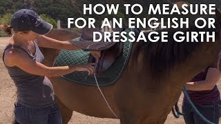 How To Measure Your Horse for English amp Dressage Girth Size [upl. by Bolanger]