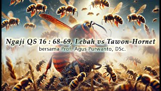 ITS Ngaji AAS Selasa Subuh Lebah Tawon vs Hornet [upl. by Cianca]