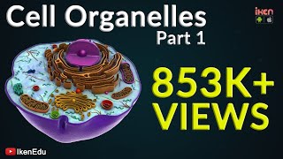 Cell Organelles  Part 1  Animation Video  Iken Edu [upl. by Byers]