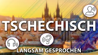 🇨🇿Tschechisch lernen für Anfänger🇨🇿 Wichtige Tschechische Sätze 🇨🇿 Einfach amp Schnell Lernen [upl. by Archaimbaud608]