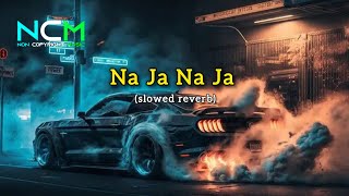 NAJA Song Slowed Reverb No Copyright Music 🎶 By NCM [upl. by Ayanad]