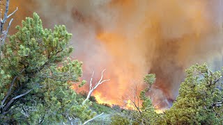 1994 South Canyon Fire on Storm King Mountain [upl. by Joao]