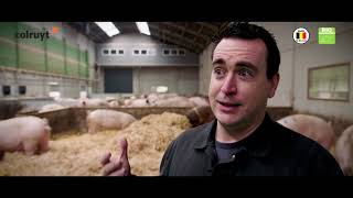 Reportage  De la viande de porc bio à la boucherie Colruyt [upl. by Latterll]