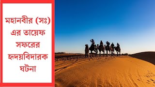 মহানবীর সঃ এর তায়েফ সফরের হৃদয়বিদারক ঘটনা   নবীর জিবনী   nobir jiboni [upl. by Megan920]