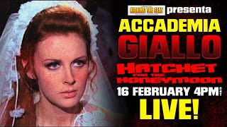 Accademia Giallo Hatchet for the Honeymoon 1970  Live Round Table Review [upl. by Jacynth143]