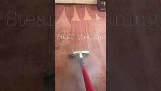 How to steam clean your carpet properly [upl. by Madda]