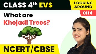 What are Khejadi Trees  The Story of Amrita  Class 4 EVS [upl. by Enoryt]