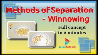 Class 6 Science Separation of Substances  Winnowing  Methods of Separation  LearnFatafat [upl. by Fred]