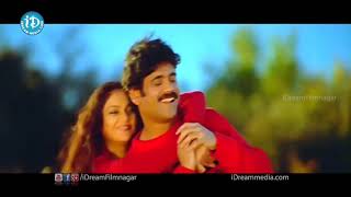 Nuvvante Nakishtam Video Song  Santosham Movie Nagarjuna Gracy Singh Shriya Saran [upl. by Ronda]