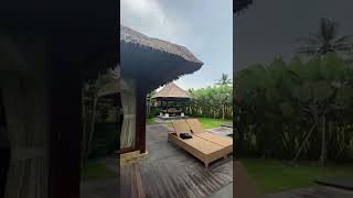 The Ubud Village Resort amp Spa Bali  Hotel Room Tour [upl. by Maltzman485]