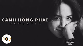 CÁNH HỒNG PHAI  NHỮNG BẢN ACOUSTIC COVER NHẸ NHÀNG THƯ GIÃN HAY NHẤT 2021 2 [upl. by Lyle597]